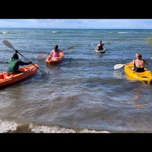 Meet your Posher, Elyse